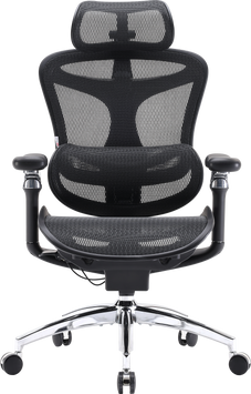 Крісло офісне Sihoo DORO C300 Pro Mesh Black (DORO-C300-PRO-M101)