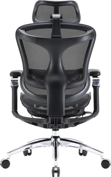 Крісло офісне Sihoo DORO C300 Pro Mesh Black (DORO-C300-PRO-M101)