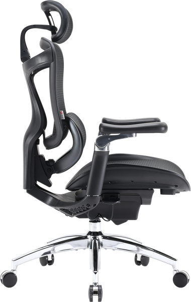 Крісло офісне Sihoo DORO C300 Pro Mesh Black (DORO-C300-PRO-M101)