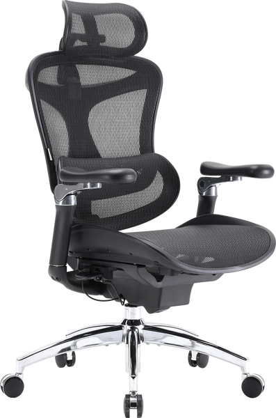 Крісло офісне Sihoo DORO C300 Pro Mesh Black (DORO-C300-PRO-M101)