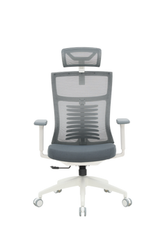 Крісло офісне OfficePro Balance OC550-W-DG-DG (OC550-W-DG-DG)
