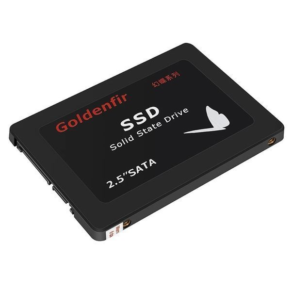 SSD-накопичувач Goldenfir 256GB SATAIII 2.5` (Goldenfir) Black (D800-256GB) - купити в Україні за низькою ціною в інтернет-магазині "Rincom"