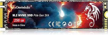 SSD-накопичувач SomnAmbulist 256 ГБ M.2 NVMe (SomnAmbulist 256 ГБ M.2 NVMe) - купити в Україні за низькою ціною в інтернет-магазині "Rincom"