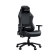 Крісло ігрове Anda Seat Luna Black Size L (AD18-44-B-PV)