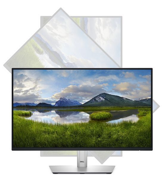 Монітор DELL 21.5" P2225H D-Sub, HDMI, DP, USB3.2, IPS, 100Hz, sRGB 99%, Pivot (210-BMHD) - купити в Україні за низькою ціною в інтернет-магазині "Rincom"