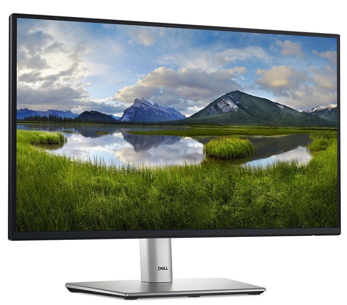 Монітор DELL 21.5" P2225H D-Sub, HDMI, DP, USB3.2, IPS, 100Hz, sRGB 99%, Pivot (210-BMHD) - купити в Україні за низькою ціною в інтернет-магазині "Rincom"