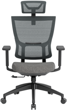 Крісло офісне OfficePro Elegant OC600-B-DG-DG (OC600-B-DG-DG)
