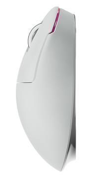 Миша бездротова PULSAR ZywOo Gen.1 Medium (PZWX22), білий (PZWX22) - купити в Україні за низькою ціною в інтернет-магазині "Rincom"