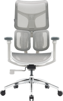 Крісло офісне Sihoo DORO S100 Mesh White (S100-M302)