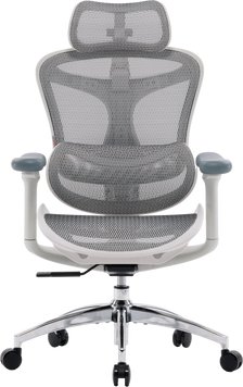 Крісло офісне Sihoo DORO C300L Mesh White (DORO-C300L-A3-102)