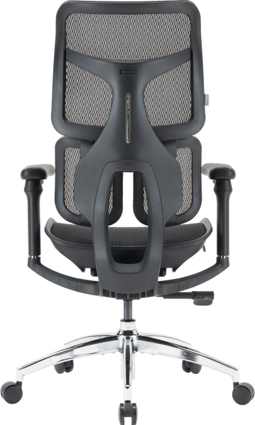Крісло офісне Sihoo DORO S100 Mesh Black (S100-M301)