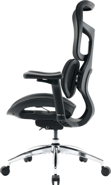 Крісло офісне Sihoo DORO S100 Mesh Black (S100-M301)