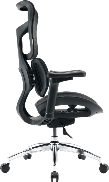 Крісло офісне Sihoo DORO S100 Mesh Black (S100-M301)