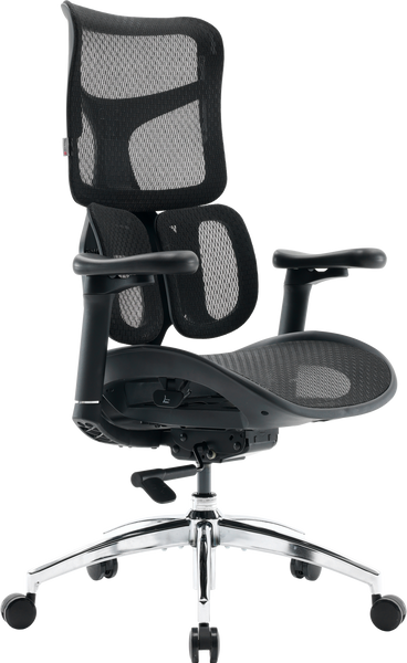 Крісло офісне Sihoo DORO S100 Mesh Black (S100-M301)