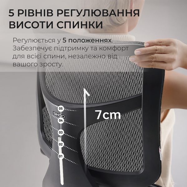 Крісло офісне Sihoo DORO S100 Mesh Black (S100-M301)