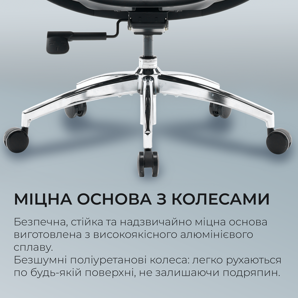 Крісло офісне Sihoo DORO S100 Mesh Black (S100-M301)