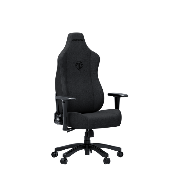 Крісло ігрове Anda Seat Novis L Fabric Dark Gray Size L (AD23-L-01-GB-F)