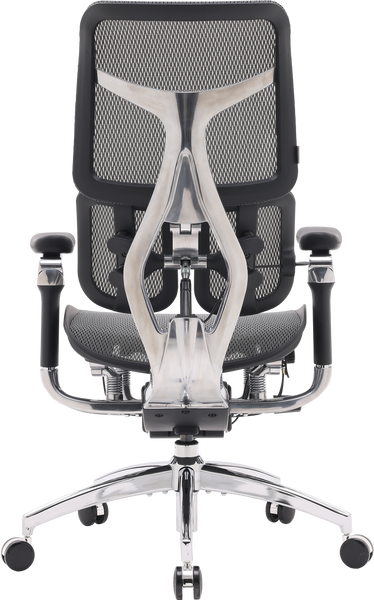 Крісло офісне Sihoo DORO S300 Mesh Dark Grey (S300-M201)
