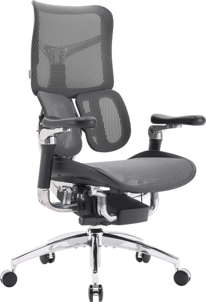 Крісло офісне Sihoo DORO S300 Mesh Dark Grey (S300-M201)
