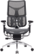 Крісло офісне Sihoo DORO S300 Mesh Dark Grey (S300-M201)