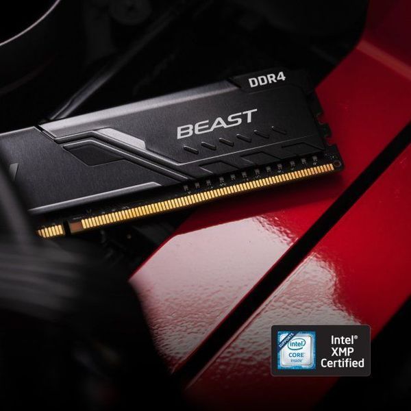 Пам'ять ПК Kingston DDR4 32GB KIT (16GBx2) 3600 FURY Beast (KF436C18BBK2/32) - купити в Україні за низькою ціною в інтернет-магазині "Rincom"