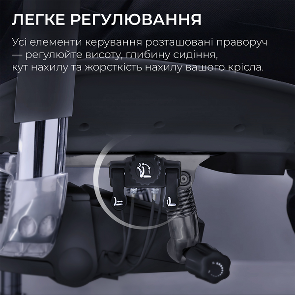 Крісло офісне Sihoo DORO S300 Mesh Dark Grey (S300-M201)