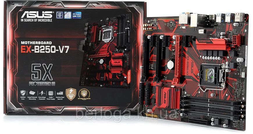 Материнська плата Asus Expedition EX-B250-V7 (s1151, Intel B250, ATX) (EX-B250-V7) - купити в Україні за низькою ціною в інтернет-магазині "Rincom"