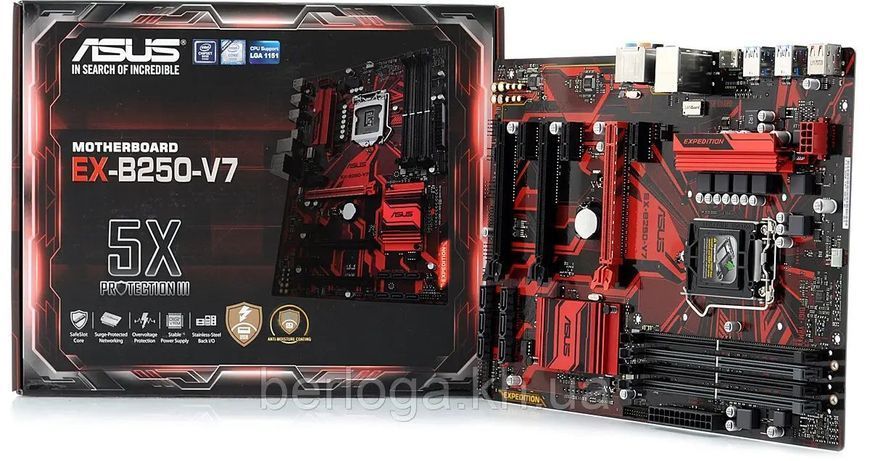 Материнська плата Asus Expedition EX-B250-V7 (s1151, Intel B250, ATX) (EX-B250-V7) - купити в Україні за низькою ціною в інтернет-магазині "Rincom"